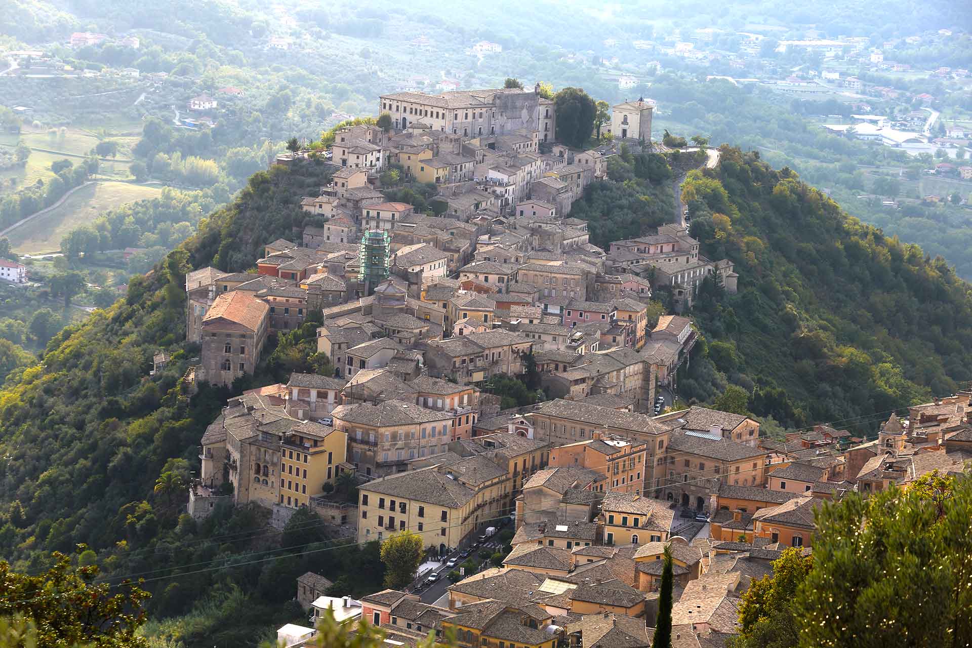 Arpino